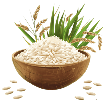 Export Products